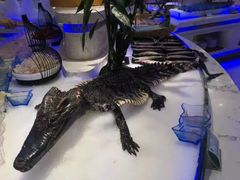 -澜悦港海鲜体验主题餐厅