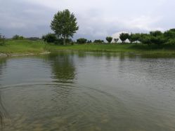 -圣露庄园·草坪婚礼·宴会厅·会议