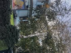 -伏尔加庄园米尼阿久尔餐厅