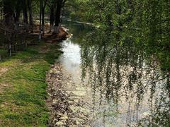 -长白岛森林公园