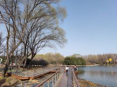 -郑州植物园