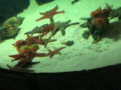 -福州罗源湾海洋世界旅游区