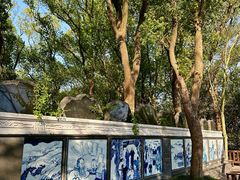 -上海佘山国家森林公园天马山园