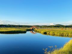 -塞罕坝国家级自然保护区