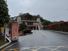 -白云山风景名胜区