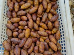 -岳各庄批发市场(西四环中路店)