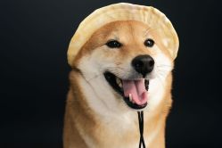 -瞳摄影写真旗舰店