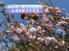 -观澜湖生态运动公社