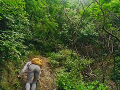 -阳台山自然风景区