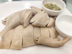 万岁清仁鸡-万年酒楼(越秀南路店)