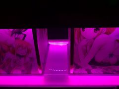 -唯爱KTV聚会餐厅(仙林东城汇店)