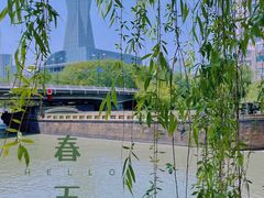 -运河游船(武林门码头)