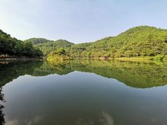 -广州白江湖森林公园