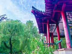 -山东师范大学(千佛山校区)