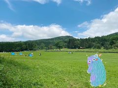 -武陵山森林公园