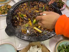 -费明中罗非鱼(大石坝店)
