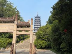 -宜兴龙背山森林公园