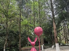 -重庆彩云湖湿地公园