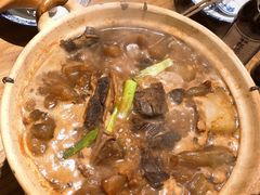 牛筋腩煲-十六蒲(桂林路店)