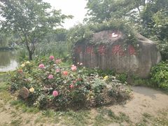 -鹅湖玫瑰文化园