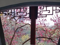 -重庆彩云湖湿地公园