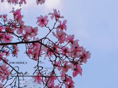 -九皇山景区