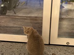 -MIMO CAFE(沙头角店)