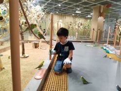 点击看大图 -七巧国萌宠乐园(龙湖天街店)