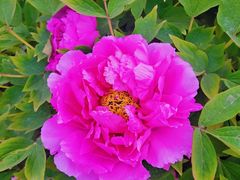 -咸阳湖景区-古渡公园