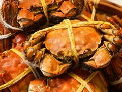 -蟹天蟹地农家菜·阳澄湖大闸蟹(浅水湾店)