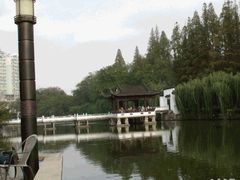1101_Tea-浮庄