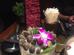 -手选潮汕鲜活牛肉火锅(二七广场店)