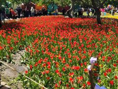 -长春公园(普阳街道)