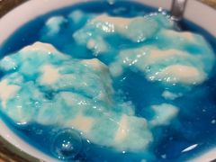 -古树酸奶(八廓南街店)