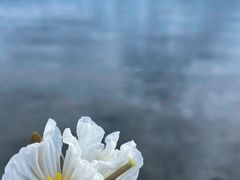 -丽江泸沽湖景区