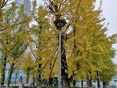 -百林公园-两江幸福广场