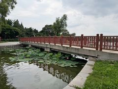 -北陵公园