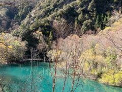 -叠溪松坪沟景区