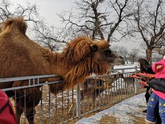 -西安秦岭野生动物园