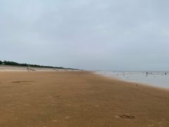 -日照海滨国家森林公园