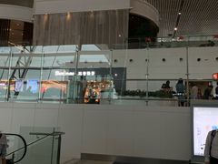 -厦门高崎国际机场-T3航站楼