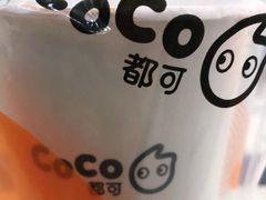 -CoCo都可(岱山店)