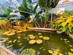 -国家植物园南园