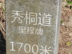 -梧桐山风景名胜区