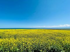 -青海湖国家重点风景名胜区