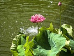 -梅州天地人花园酒店(梅县人民广场店)