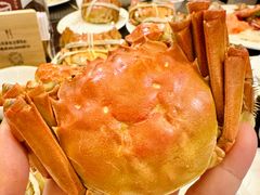 -上海锦江汤臣洲际大酒店壹阶层