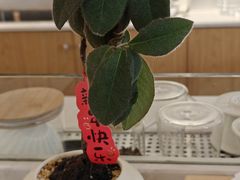 -Cafe on warm(丹霞店)