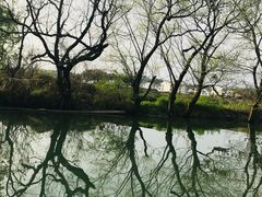 -婺源月亮湾