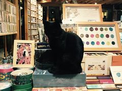 -猫的天空之城概念书店(丽江古城饮玉巷店)